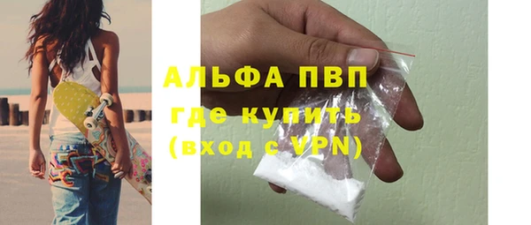 шишки Аркадак