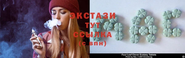шишки Аркадак