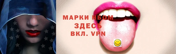 шишки Аркадак