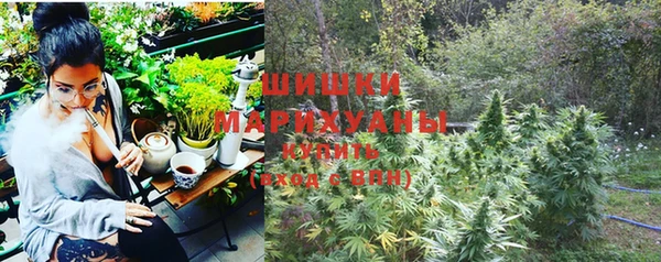шишки Аркадак
