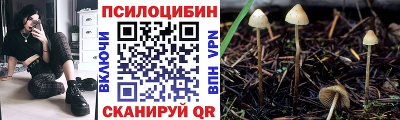 Псилоцибиновые грибы Psilocybine cubensis  MEGA tor  Хилок 